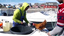 Guirec Soudée explores Greenland for 1 year on his sailboat!