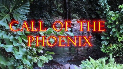 Call of the Phoenix,Young adult  novel