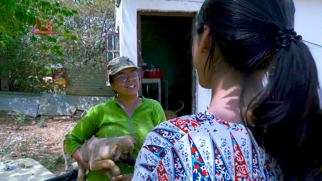 Exciting Things to do in Bengaluru | What to do when you are bored | Free Things to do in Bangalore