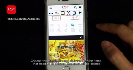 LSF Project Execution Application