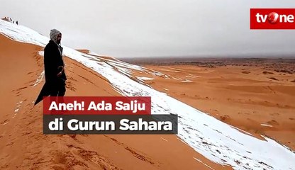 Aneh! Ada Salju di Gurun Sahara
