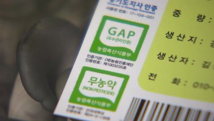 [녹색] '안전한 농산물' GAP 인증 확대 지원 / YTN