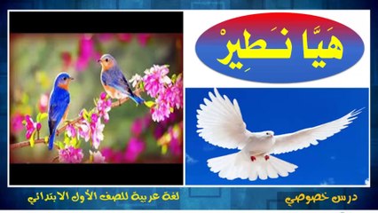 اللغة العربية للصف الأول الإبتدائي التيرم الثاني { 10 }  درس هيا نطير