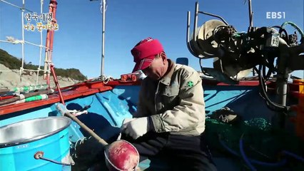 한국기행 - Korea travel_나는 꾼이다2 4부 겨울, 우리는 바다로 간다_#002
