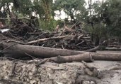 Hundreds of Homes Destroyed or Damaged in Montecito Mudslides