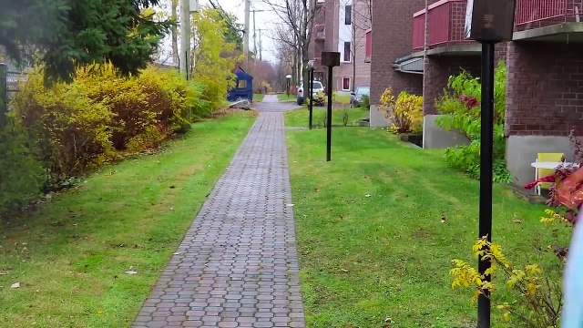 Frozen Elsa & Spiderman FINDS a DRAGON EGG! w Maleficent Joker Toys Fun Superhero in real life IRL | Superheroes | Spiderman | Superman | Frozen Elsa | Joker