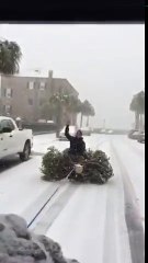 Il fait du snowboard sur un sapin traîné en voiture dans les rues enneigées !