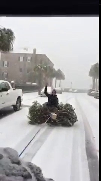 Il fait du snowboard sur un sapin traîné en voiture dans les rues enneigées !