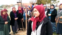 Kur'an Kursu kadın öğrencileri mezarlığı ağaçlandırdı