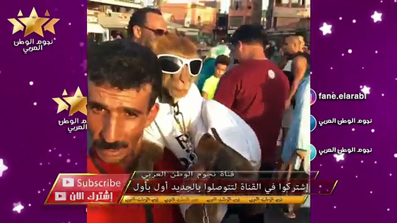 شاهد ردة فعل مغني أغنية Despacito عند زيارته للمغرب رفقة ريضوان redon YouTube