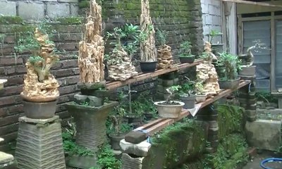 Ukiran Bonsai dari Limbah Bahan Bangunan