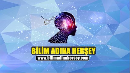 Yağmur Yağınca Dikkat Edin, Sizde Fark Edeceksiniz