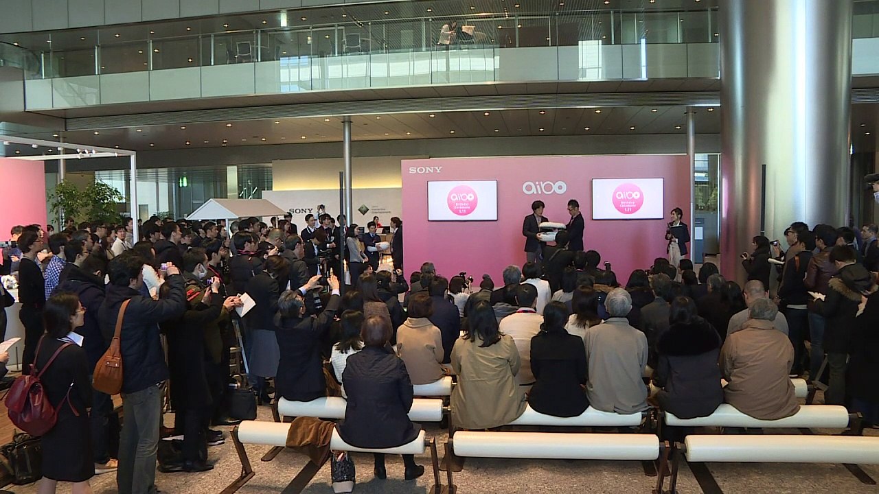 Novos cãezinhos robôs são ‘adotados’ no Japão