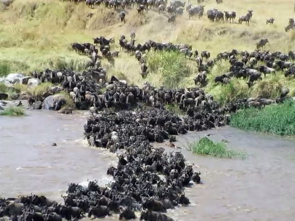 Serengeti National Park which know for its Great Migration