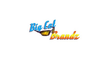 Big Cat Brandz, LLC - Branding Company