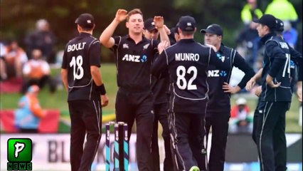 Honey Bee Disturb Muhammad Amir During 1st ODI Pakistan Vs New Zealand 6 Jan 2018