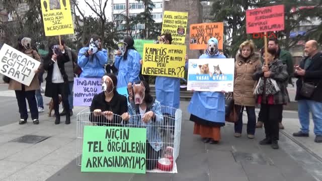 Trabzon Hayvan Severlerden, Üniversitede Kaybolan Köpeklere Tepki
