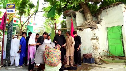 Saya Bhi Sath Jab Chor Jaye Aisi Hai Tanhai