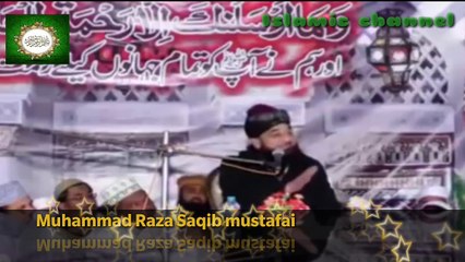 Muhammad Raza Saqib Mustafai 2018 is Zamane Main Muhabat Kis Se Ki Jae