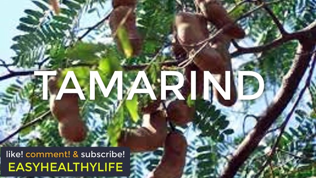 Tamarind Chutney Tamarind Sweet Sour Chutney Tamarind Recipe Imli Recipe