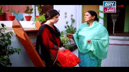 Mein Mehru Hoon Ep 32 - on ARY Zindagi in High Quality 11th January 2018