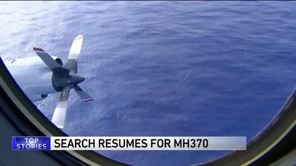 Woman Reportedly Returns Dead Christmas Tree to Costco, Gets Full Refund