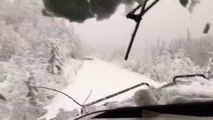 Train plows through trees after snow storm!