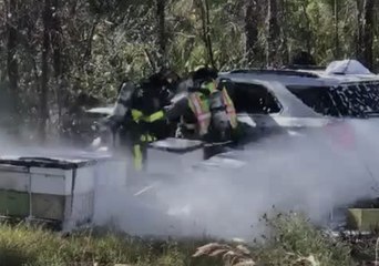 Emergency Crews Battle Swarm of Bees While Aiding Florida Crash Victim