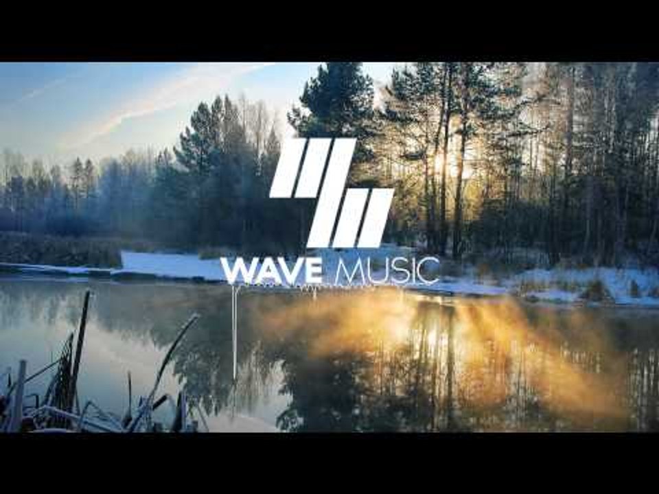 Vena Cava - Ohana