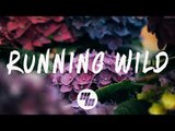 FLYES - Running Wild (Lyrics / Lyric Video) feat. Krue