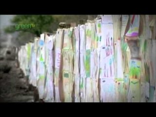 Take Action on World Environment Day 🌍