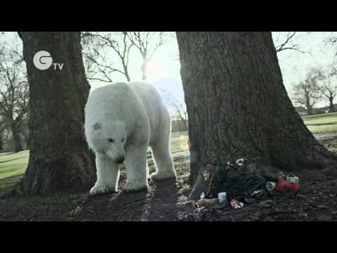 A Homeless Polar Bear in London