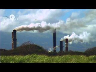 Science Nation - Lord of the Tree Rings