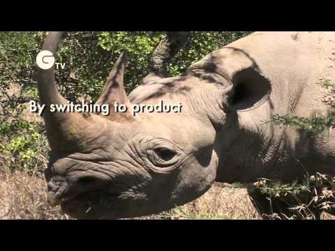 Saving tigers, rhinos, orangutans and elephants