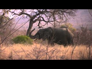 Google Earth, Champion of the Earth Award