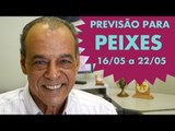 PEIXES - PREVISÃO SEMANAL 16/05 A 22/05