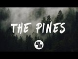 Roses & Revolutions - The Pines (Lyrics / Lyric Video) Evan Gartner Remix