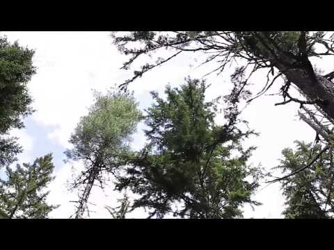 FSC Celebrates its 20th Anniversary