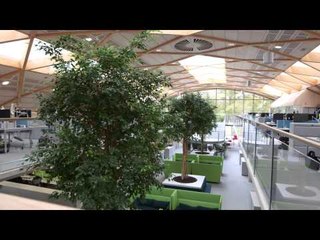 WWF UK HQ: How Cisco and Dimension Data delivered a sustainable workplace