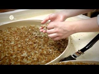 Oyster Farmers and Ocean Acidification