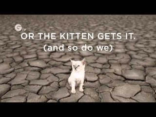 March or the Kitten Gets It!