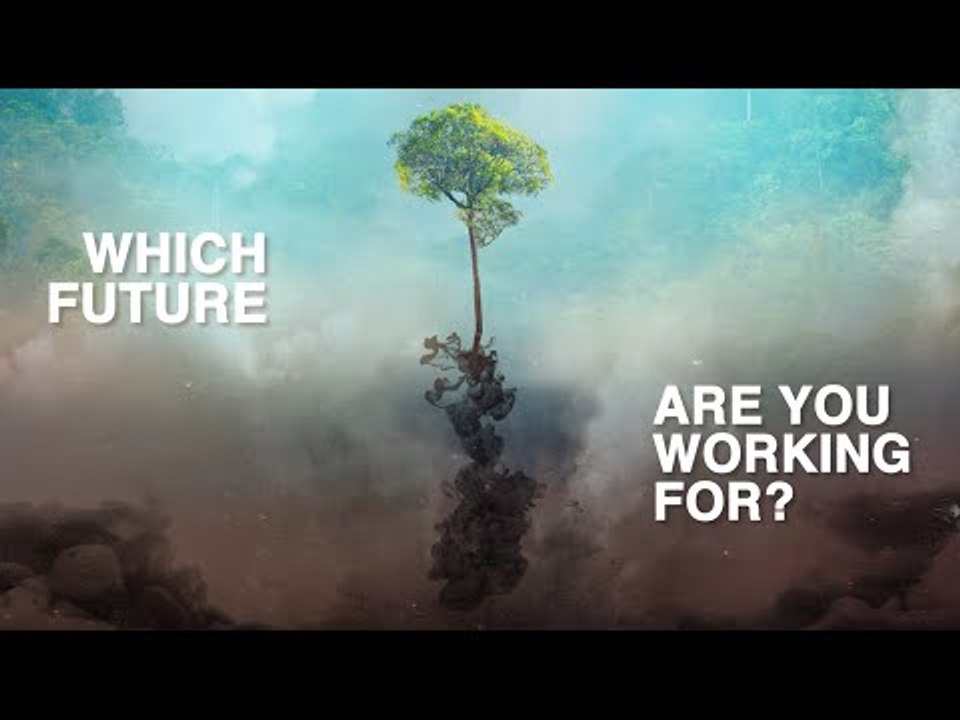 Biofuels: The Butterfly Effect