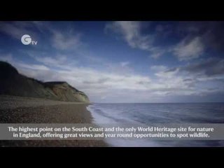 Celebrating 50 years of Coastline Conservation