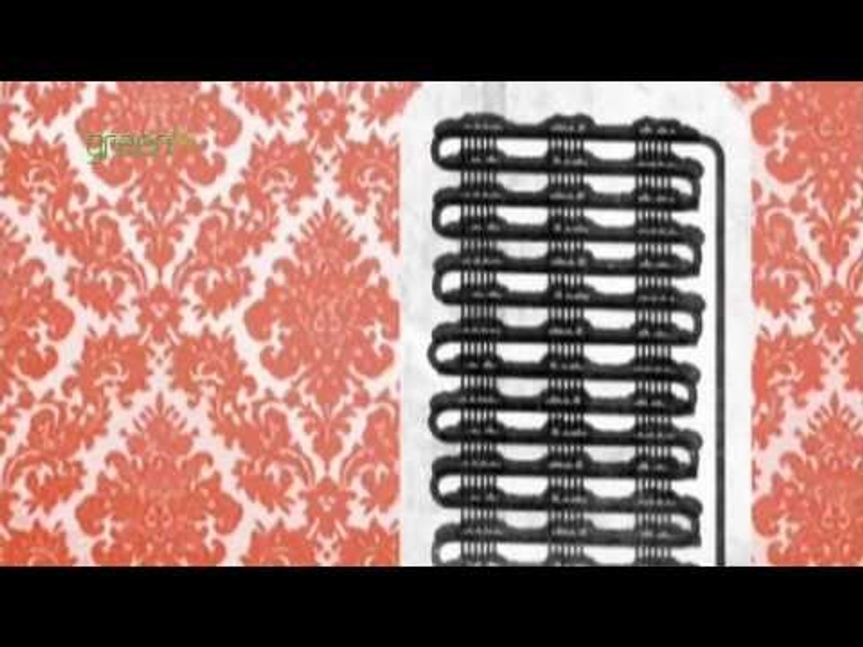 Green Tip - The Fridge