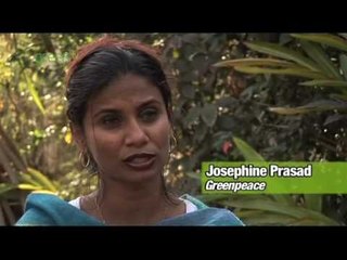 Kadavu - a Pacific marine reserve