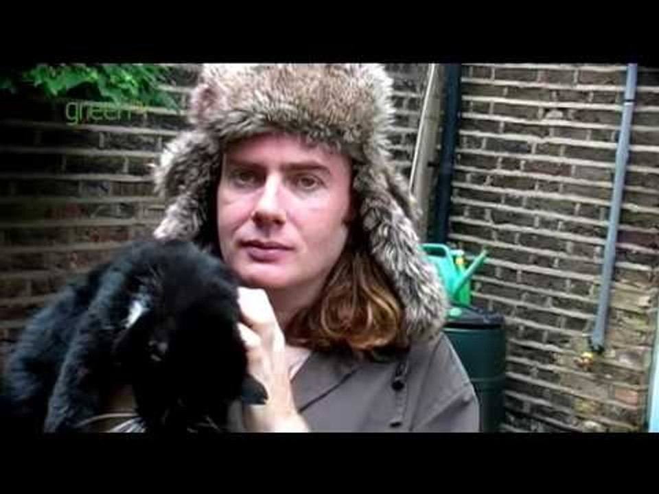 Miserable Green Git