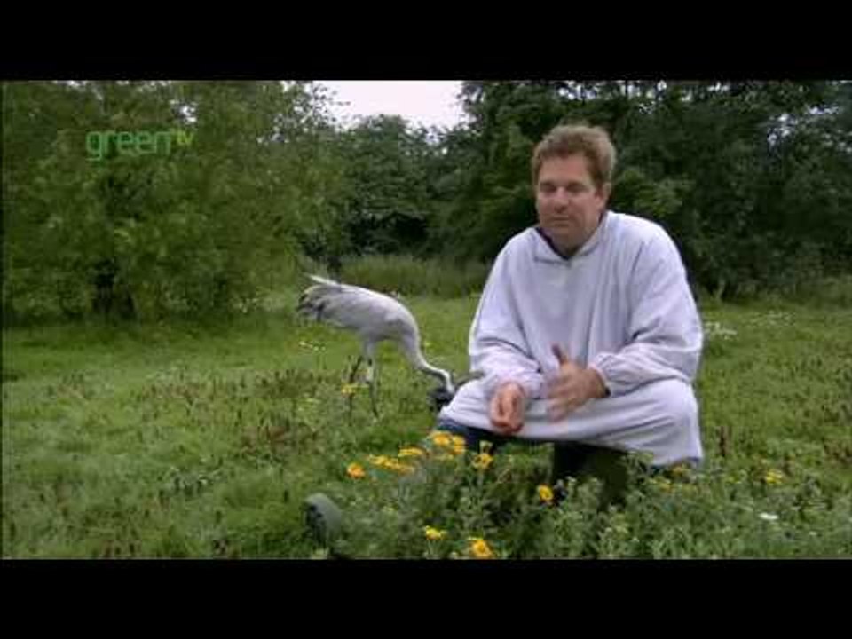 Crane Country - part 1
