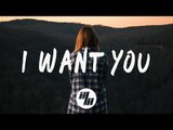 Robotaki & Manila Killa - I Want You (Lyrics / Lyric Video) Spirix Remix, feat. Matthew John Kurz