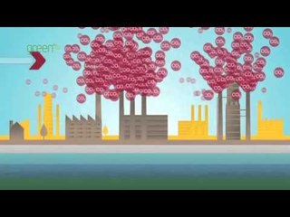 The Hard Facts behind CO2 Capture and Storage