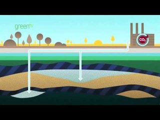 Safe Storage - Closing the carbon loop